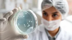 Bedrog van de eeuw: deze bacterie doet alsof hij dood is om ongunstige omstandigheden te overleven