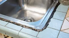 Schimmel op siliconenvoegen rond de gootsteen: een eenvoudige manier om het zelf te verwijderen zonder vakman